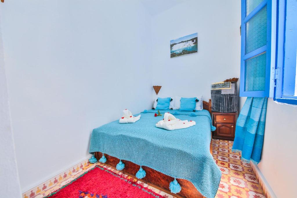 8 Days Kitesurf Camp Essaouira